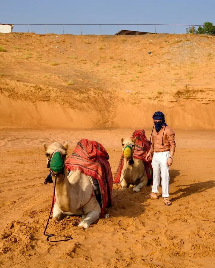 Guest walking beside two resting camels on the red sand