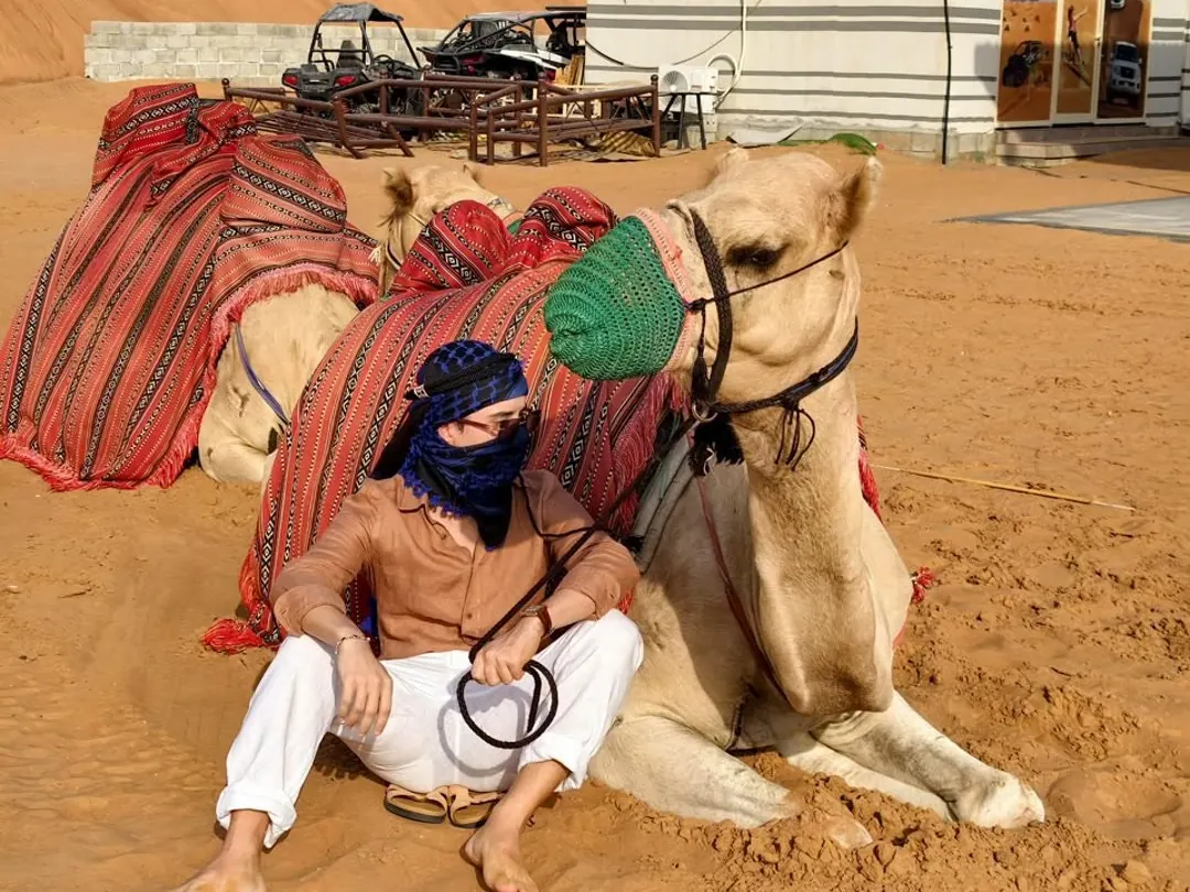 Camels resting at the desert camp with a camel handler