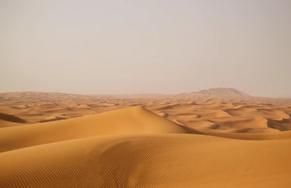 Sahara Dune Adventures team and vehicles in Dubai desert