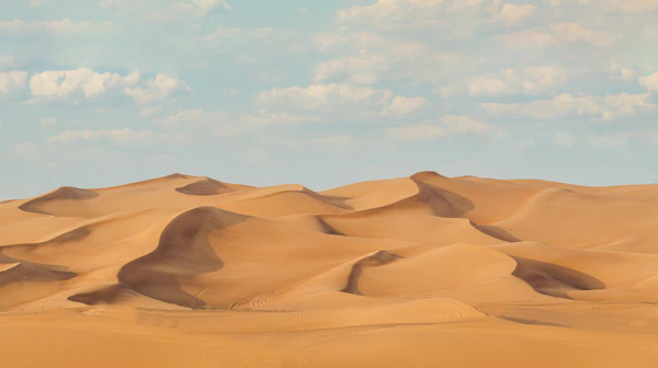 Morning Desert Safari Dubai red sand dunes