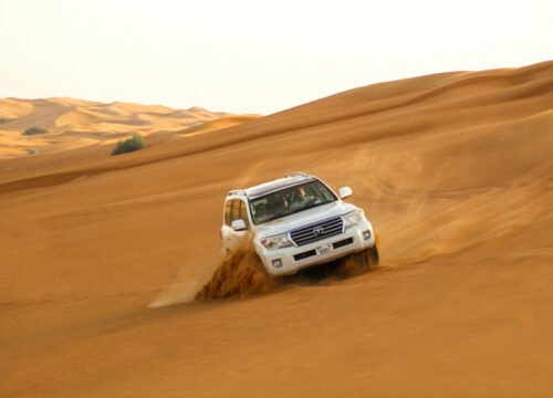 Morning Desert Safari