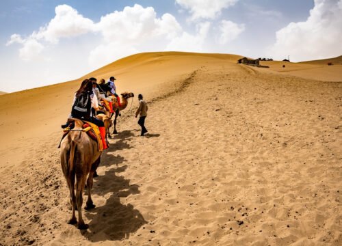 Camel Trekking Dubai